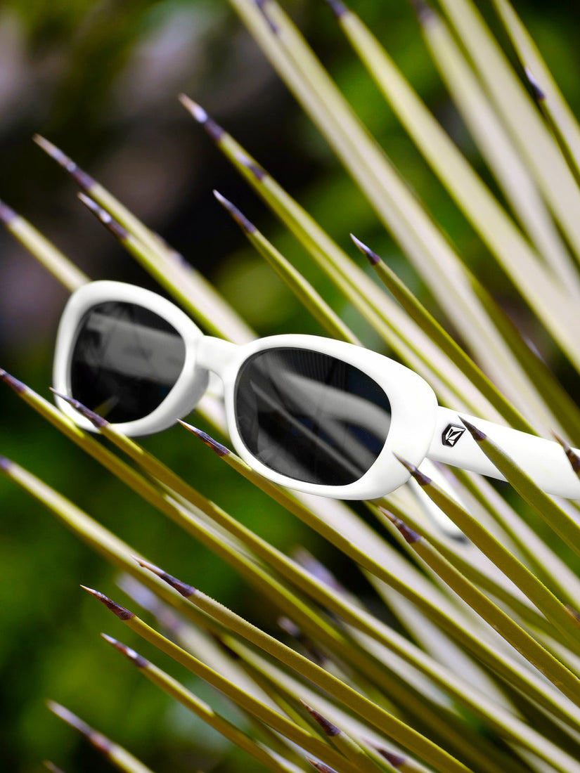 JAM SUNGLASSES - GLOSS WHITE/GRAY